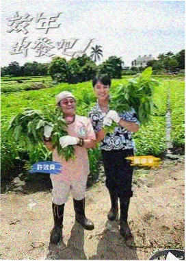 天启影视综艺一日摊主生活纪实海报